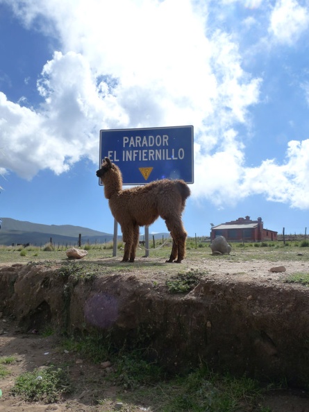 Parador-El-Infiernillo-camino-a-Tafí-del-Valle-Tucumán015.jpg